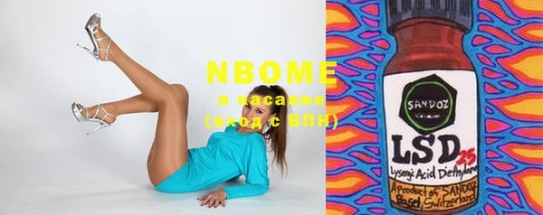 хмурый Нея