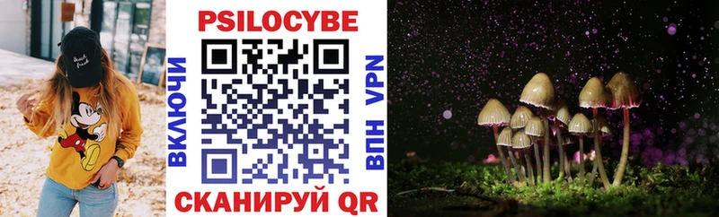 закладка  Кирс  Псилоцибиновые грибы мухоморы 